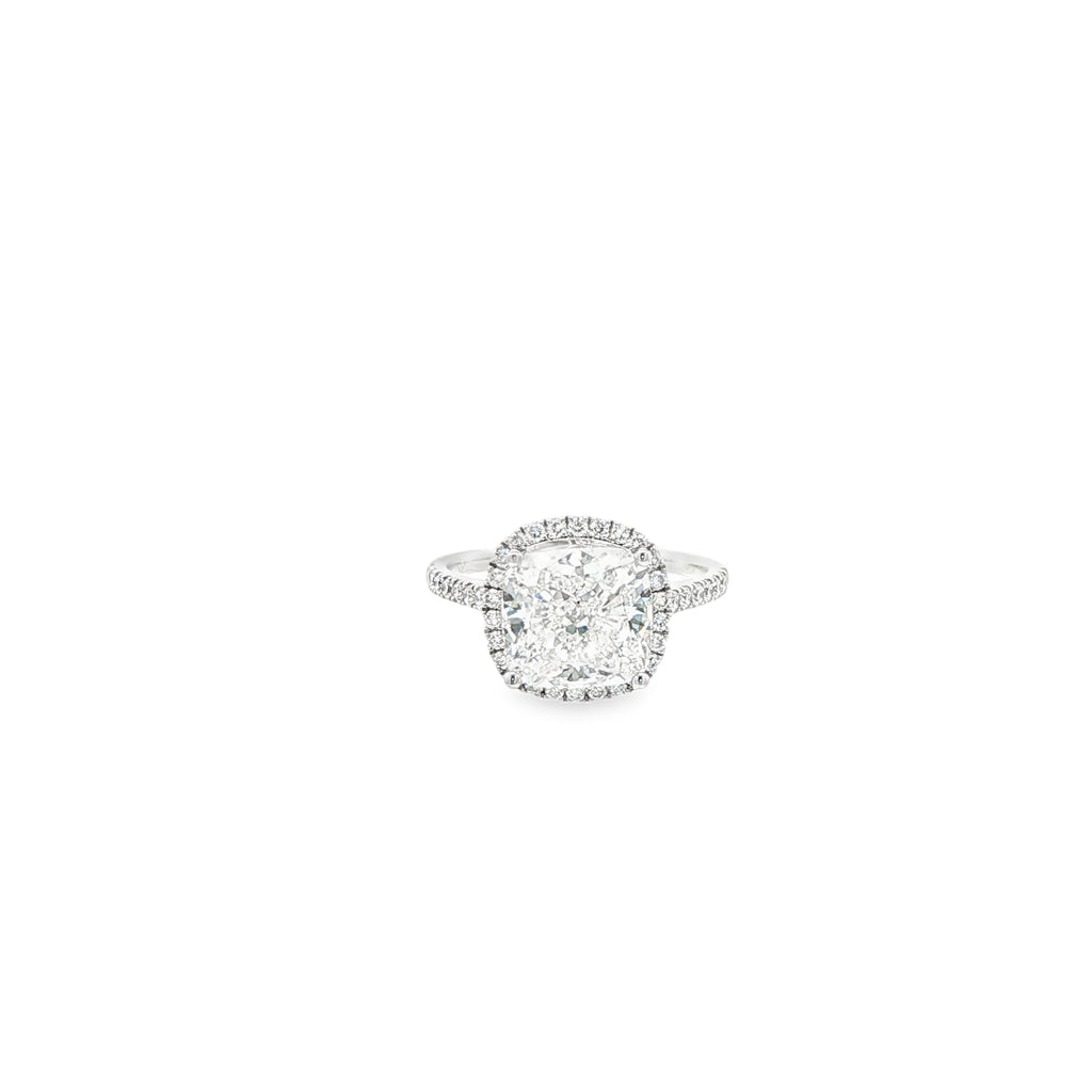 Cushion x Halo Engagement Ring