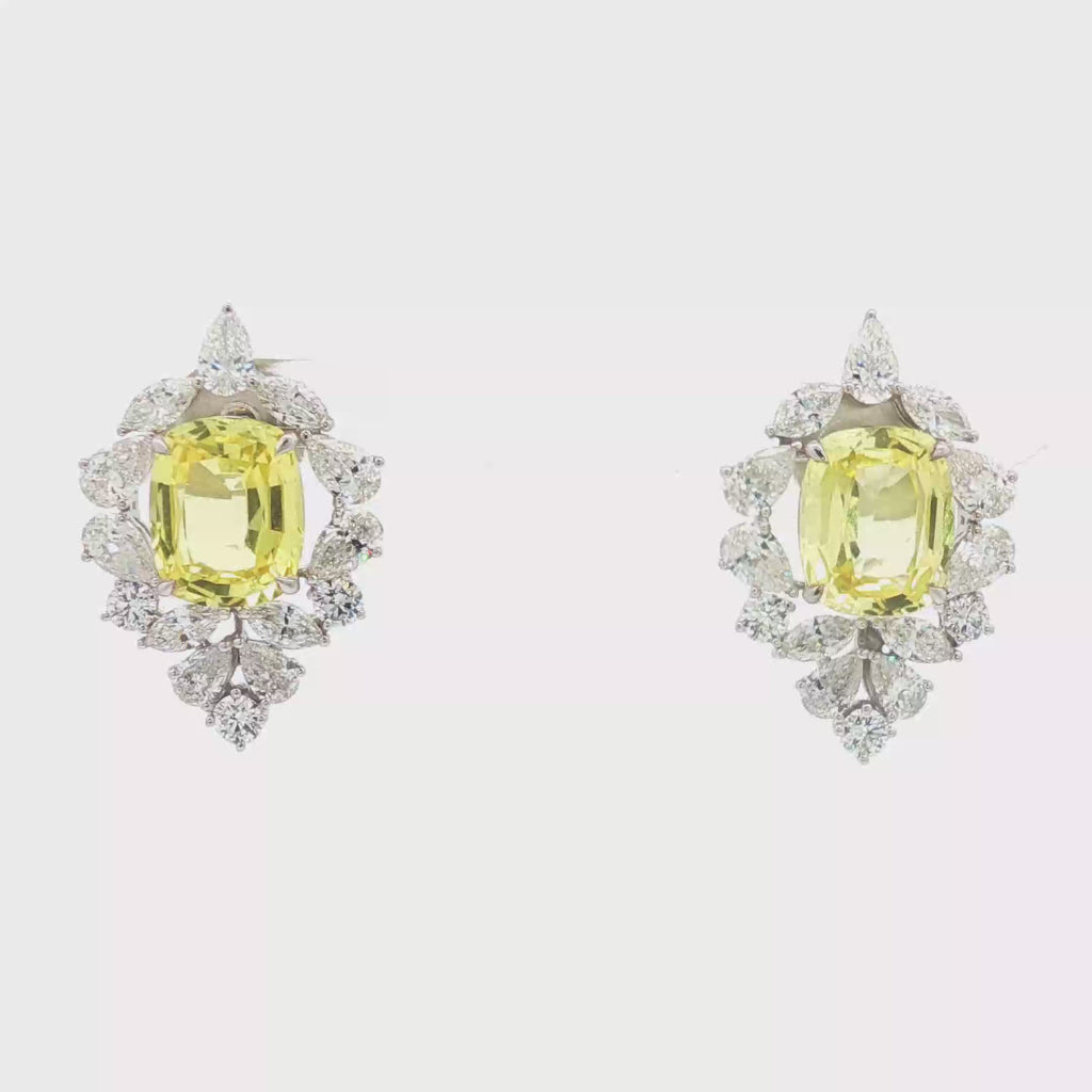 9.08ct Yellow Flower  Earrings